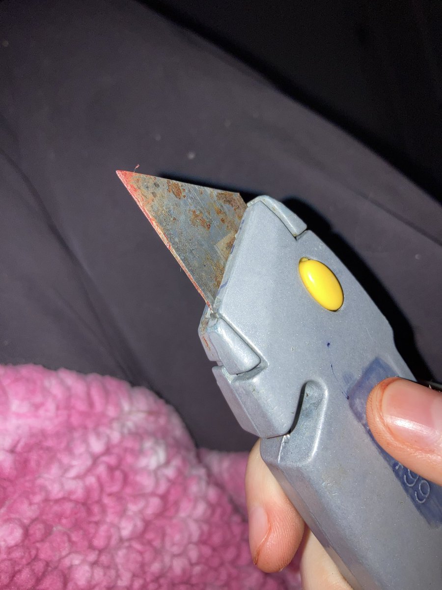 Bj of shedtwt tweet media