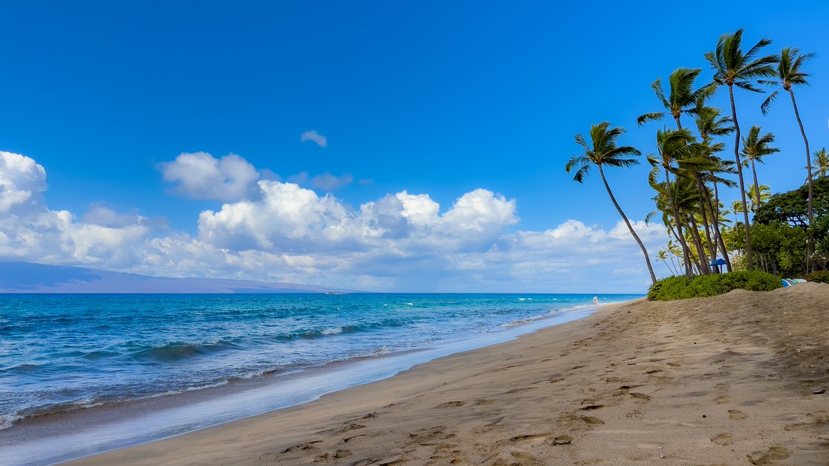 Fahim Al Mahmud Ashik tweet media