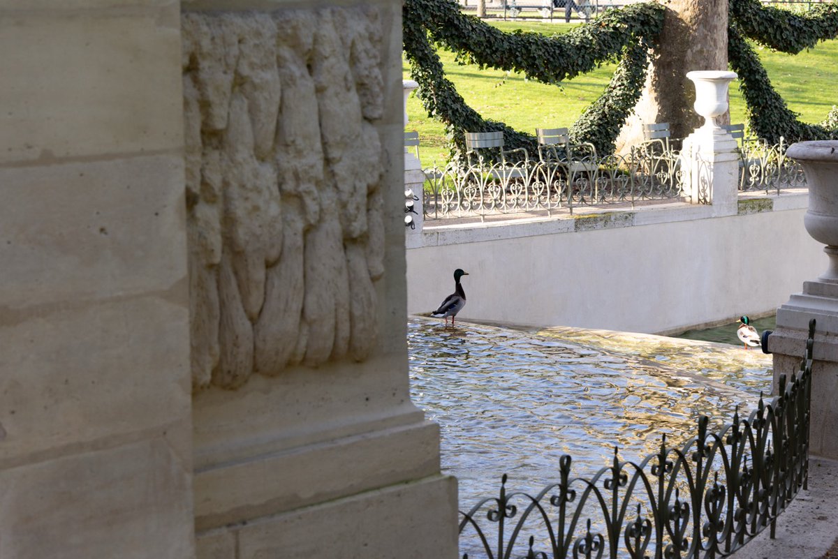 Jardin du Luxembourg tweet media