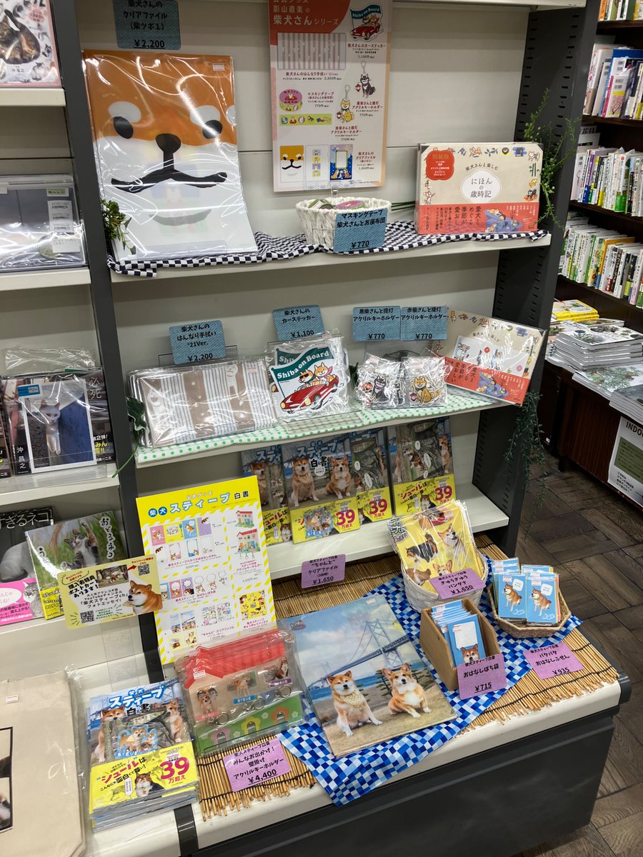 shosengnd's tweet photo. ［4階］4月8日は「芝の日」柴犬を讃えよ！という事で
柴犬グッズ販売中です。
・影山直美さんの柴犬グッズ
・柴犬スティーブ白書グッズ
かわいい柴グッズがお待ちしています。
その横では猫グッズもあります！ #グランデいきもの https://t.co/WeqxsriHaP