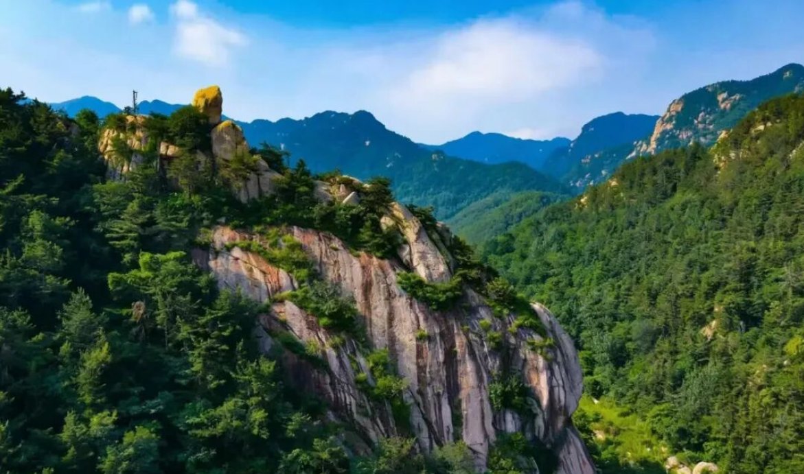 Discover Yantai_JP tweet media