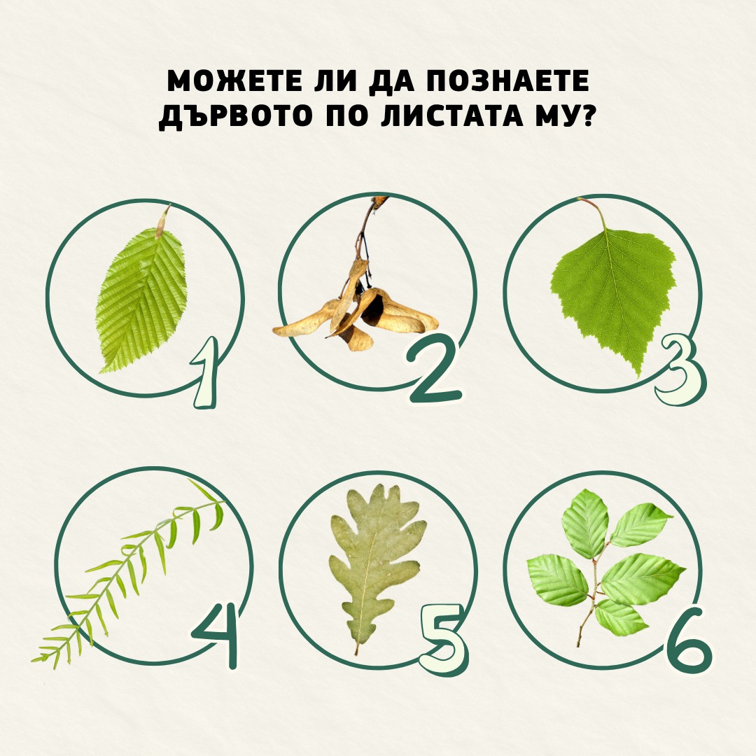 Европейска комисия tweet media