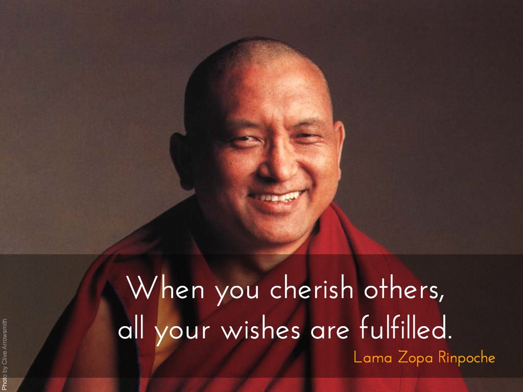 Just Dharma Quotes tweet media