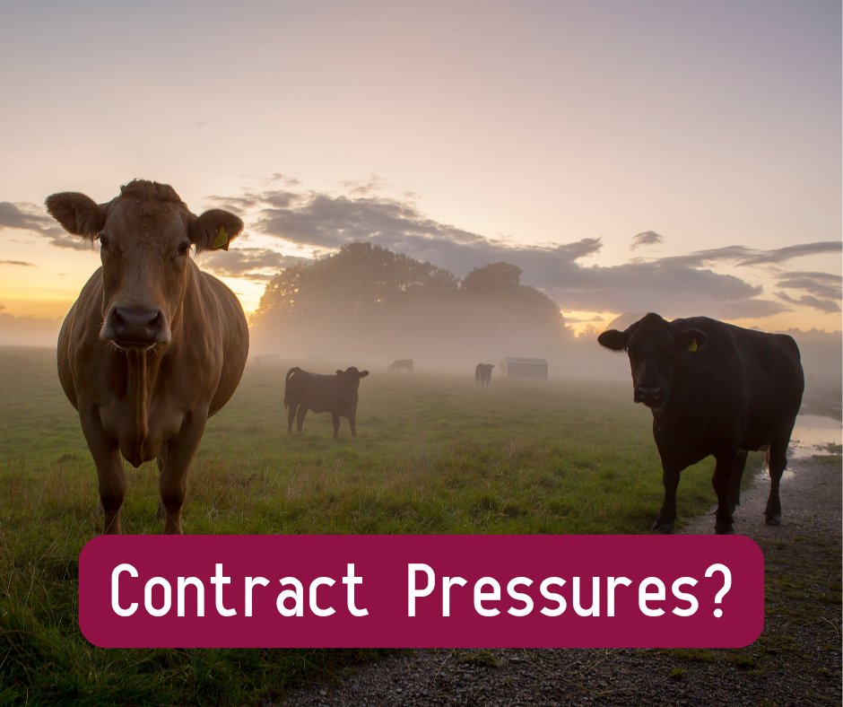 NMRgroup's tweet image. 🥛📉Milk contracts tighten; penalties cut margins. Produce smarter! Use Herd Companion FREE daily milk tests. Click: youtu.be/6rKw1MKNi7Q #DairyFarming #MilkProduction #MilkQuality #HerdManagement #DairyFarmers #MilkPrice #FarmSmart