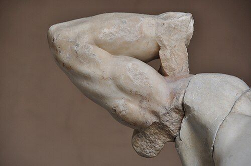 fasc1nate's tweet photo. In 1506, an ancient statue more than 1,000 years old was dug up in Rome. The central figure, Laocoön, was missing an arm.

The pope held a contest to see who could best recreate the lost limb. Michelangelo submitted his idea, but it was not chosen.

Then, in 1906, the statue’s original arm was discovered. It turned out to be positioned almost exactly the way Michelangelo had predicted. 

More rare historical photos:  https://t.co/dQjceOPkrz