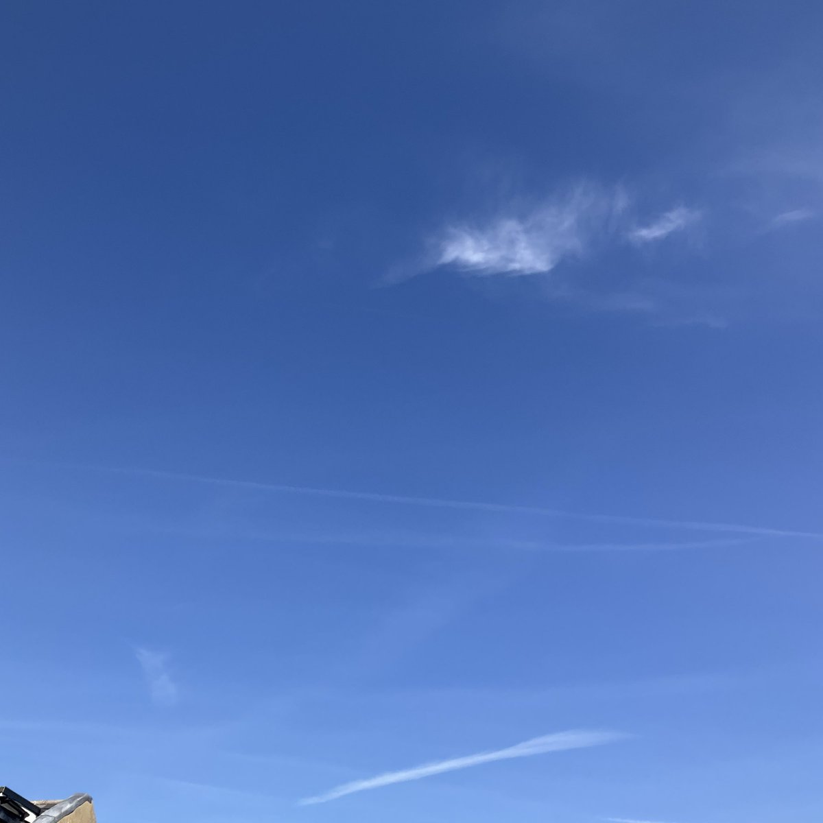 Chloé la Française tweet media