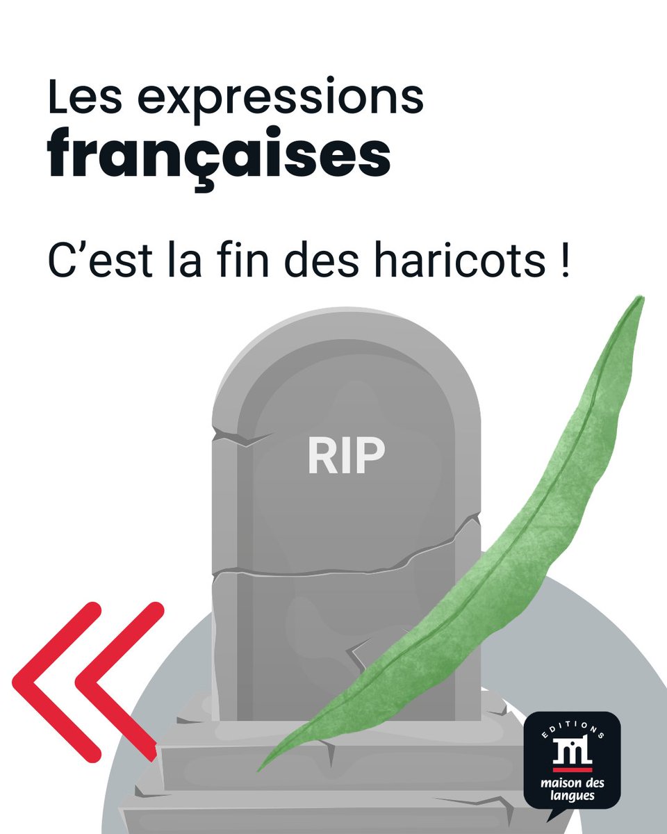 Maison des Langues tweet media