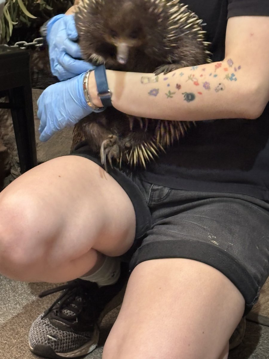 omgこぽん tweet media