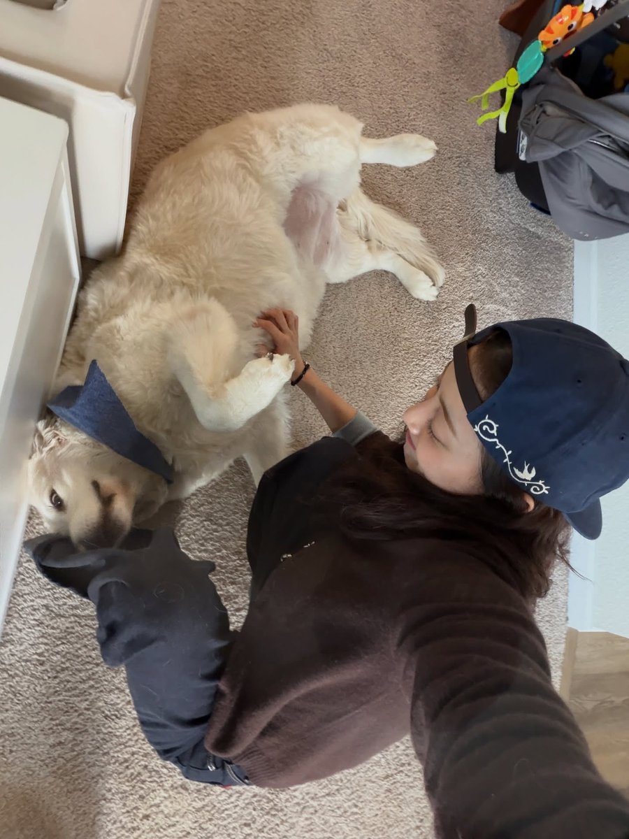 구둥이 tweet media