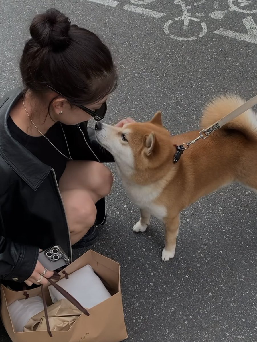 구둥이 tweet media