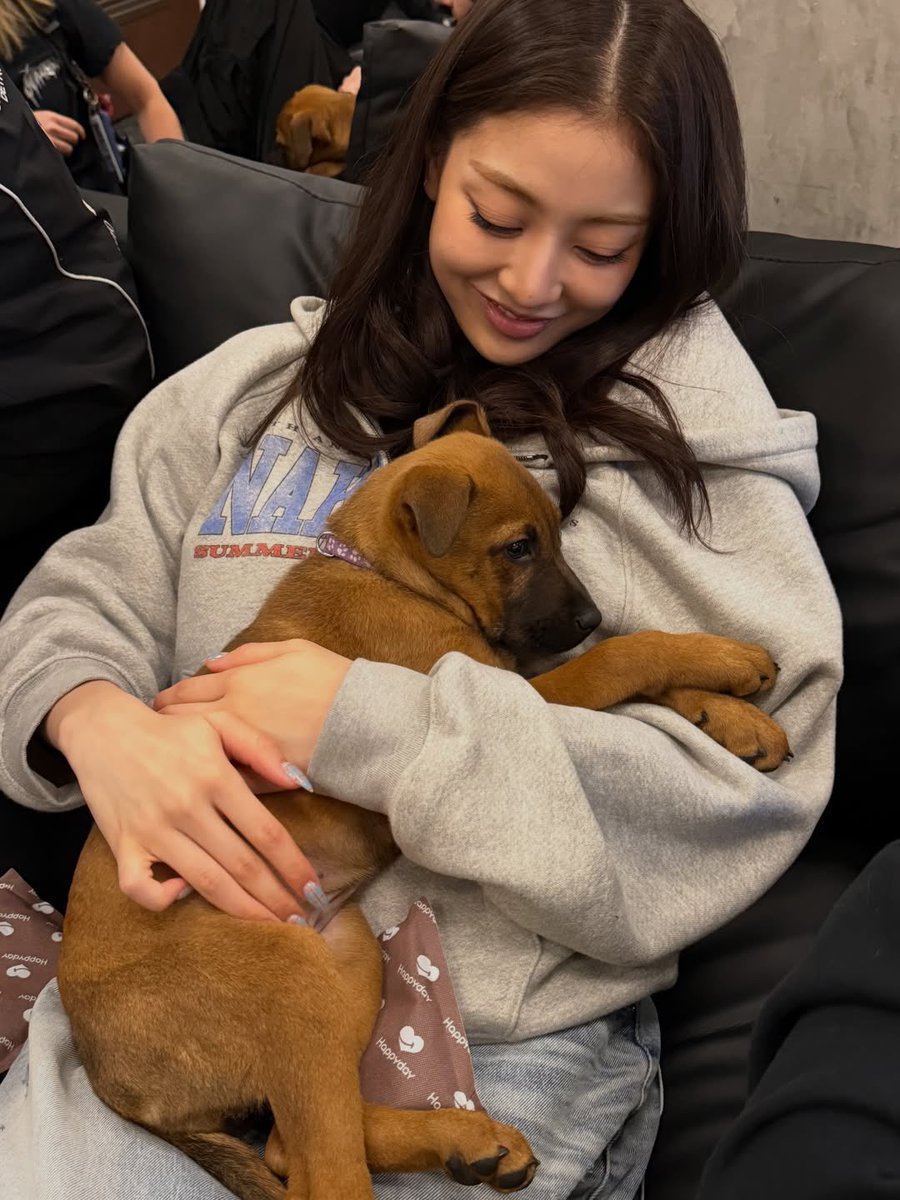 구둥이 tweet media