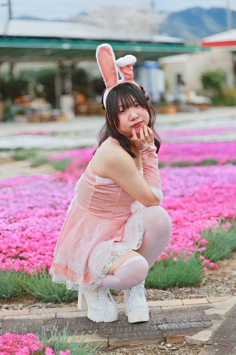 ⌘すっとんだ次郎 tweet media