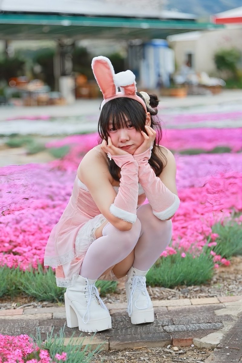 ⌘すっとんだ次郎 tweet media