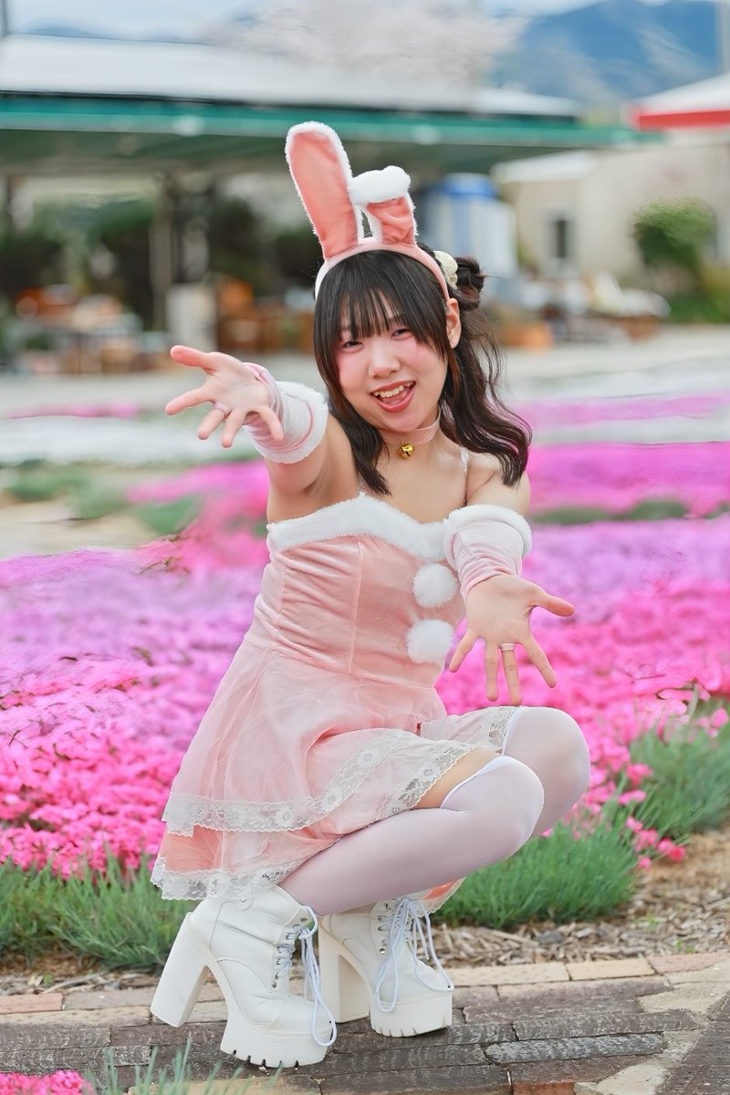 ⌘すっとんだ次郎 tweet media