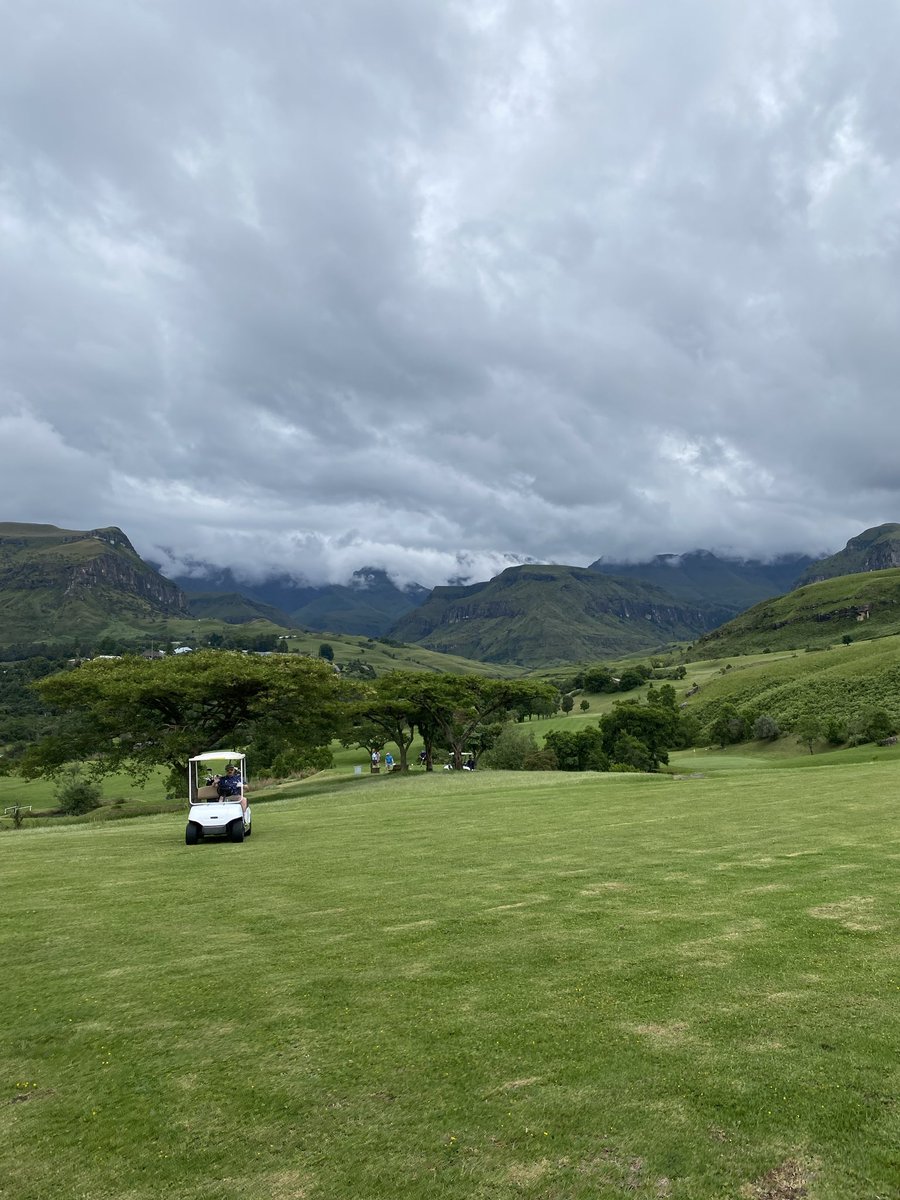 Bullcase🧪 tweet media