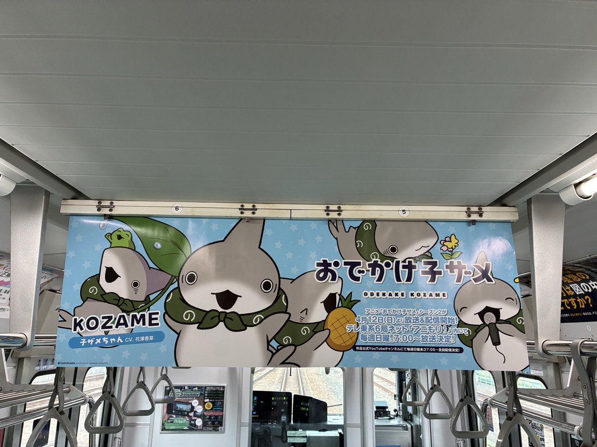 サーメークラ@おでかけ子ザメのグッズ捜索中🦈 tweet media