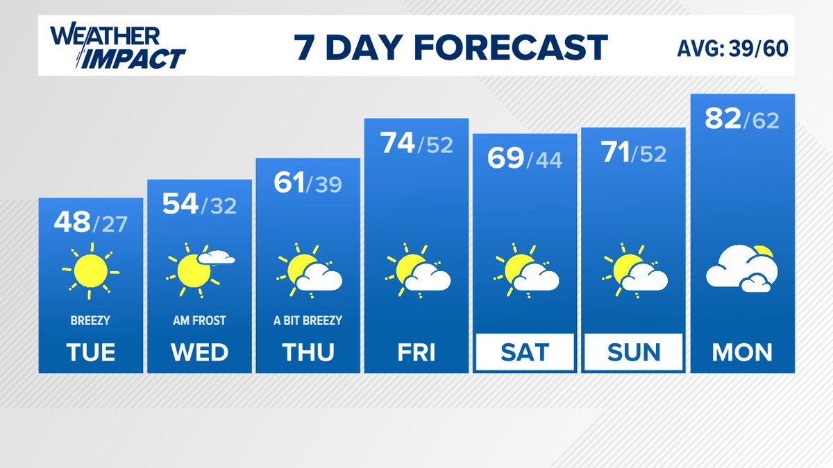 Andrea Michaels tweet media