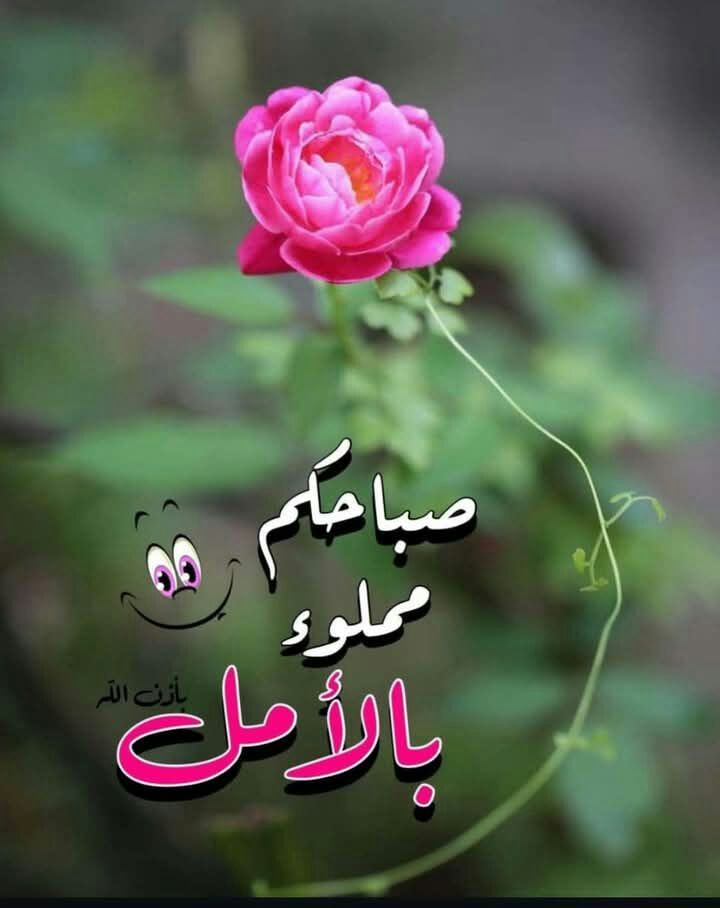 Dreamy Town tweet media