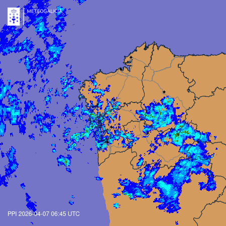 O Davinha 🍍 tweet media