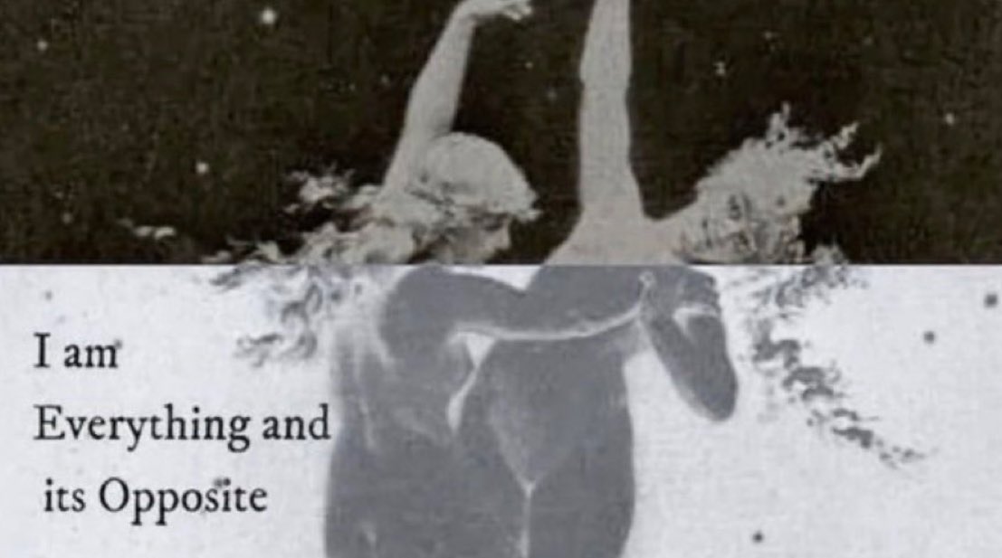 ༺Rayrie༻ tweet media