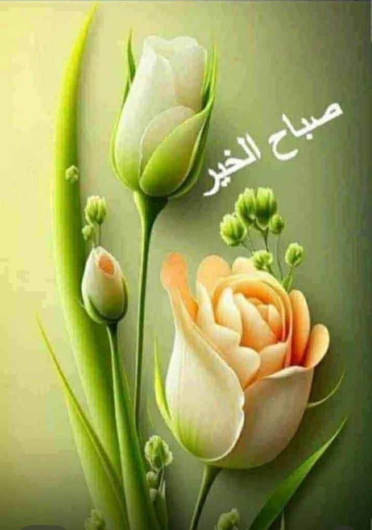 Dreamy Town tweet media