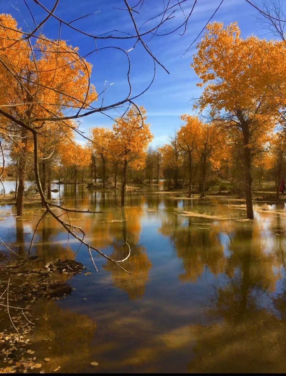 diarra1111@hotmail.f tweet media