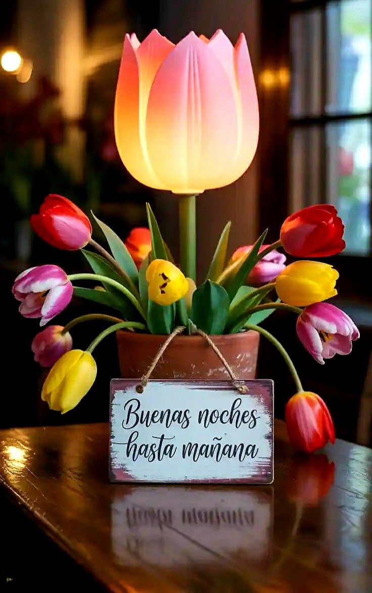 Titi Larrazábal♥️👑🇮🇱🇲🇽 tweet media