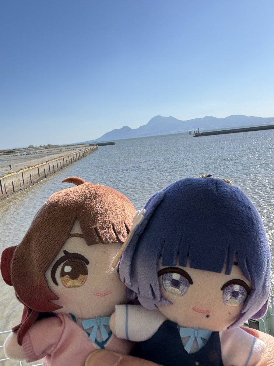 イイヌマ tweet media