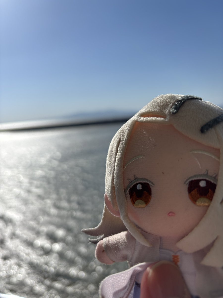 イイヌマ tweet media