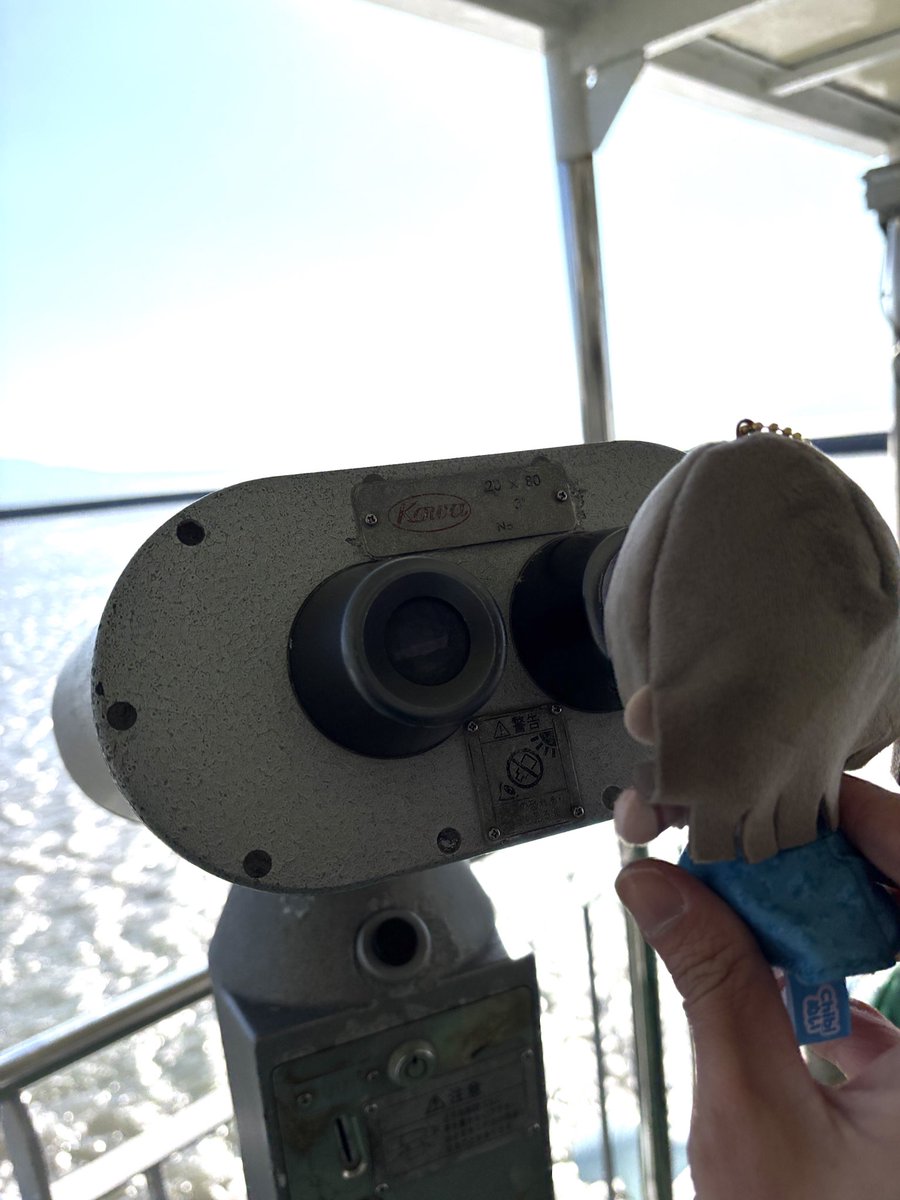 イイヌマ tweet media