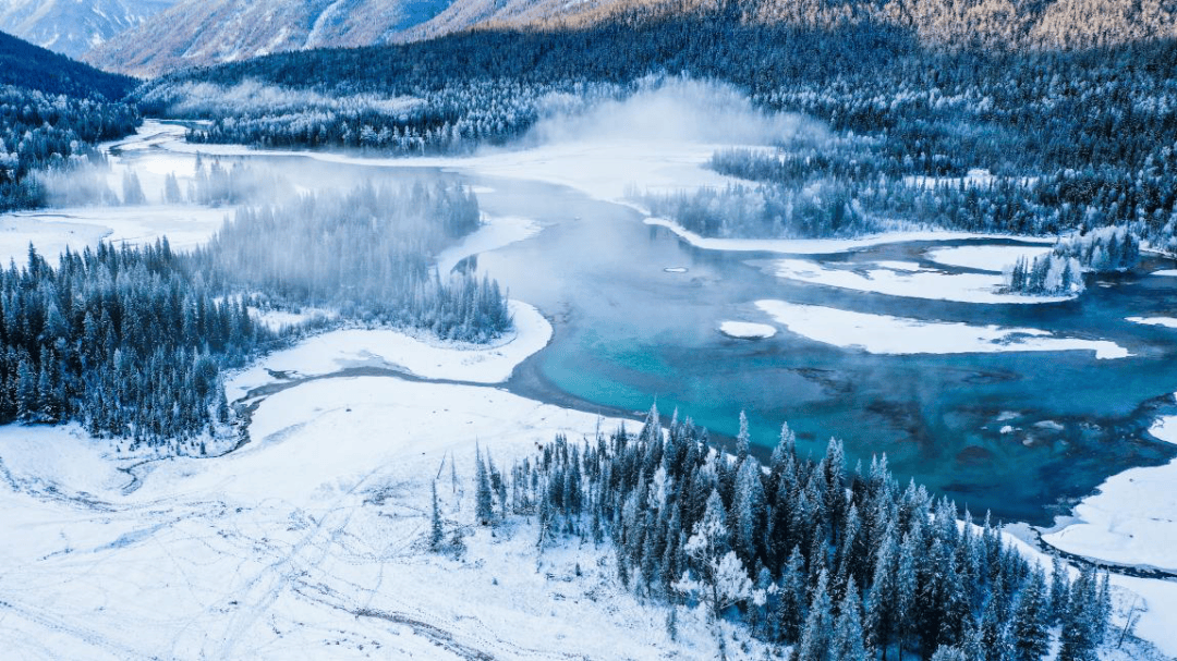 akash bitadar tweet media