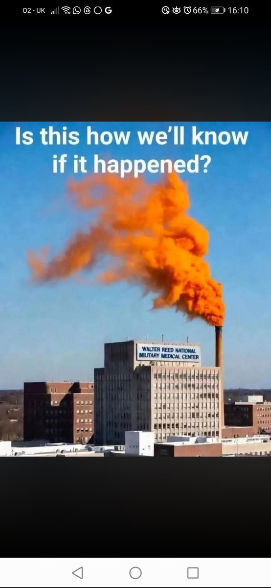 borderbertie1 tweet media