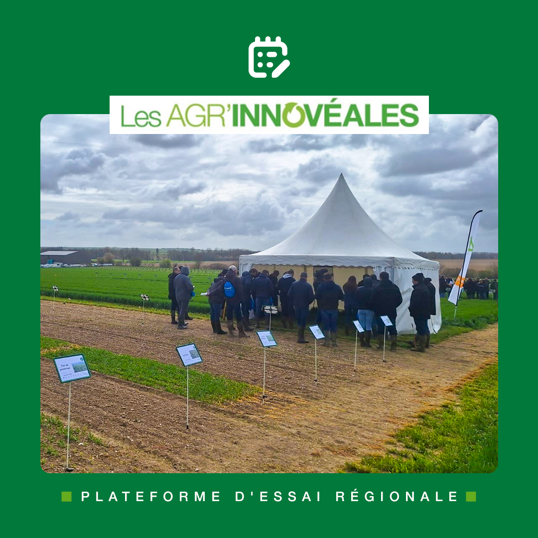 BASF_Agro_FR's tweet photo. [LIVE] 

Clap de fin pour les trois journées dédiées à notre plateforme d’essais régionale Agr’Innovéales, consacrée à la course contre les graminées adventices !

Du 31 mars au 2 avril, 5 ateliers ont rythmé ces journées.
Au programme :
- Gestion des graminées adventices dans la culture du colza et à l’échelle de la rotation
- Stratégies de désherbage céréales incluant une innovation prometteuse

Plus de 450 partenaires sont venus découvrir les résultats de nos essais directement sur le terrain et échanger avec nos équipes.

Ces rencontres sont toujours de précieux moments pour partager nos expertises, écouter les besoins et problématiques de chacun et continuer à faire avancer ensemble une agriculture toujours plus innovante. 🌱

Merci à toutes les personnes présentes pour leur participation et la richesse des échanges.

À très bientôt ! 👏

#BASF #WeAreBASF #Agroecologie #Innovation #Agrinnoveales #VisiteEssais