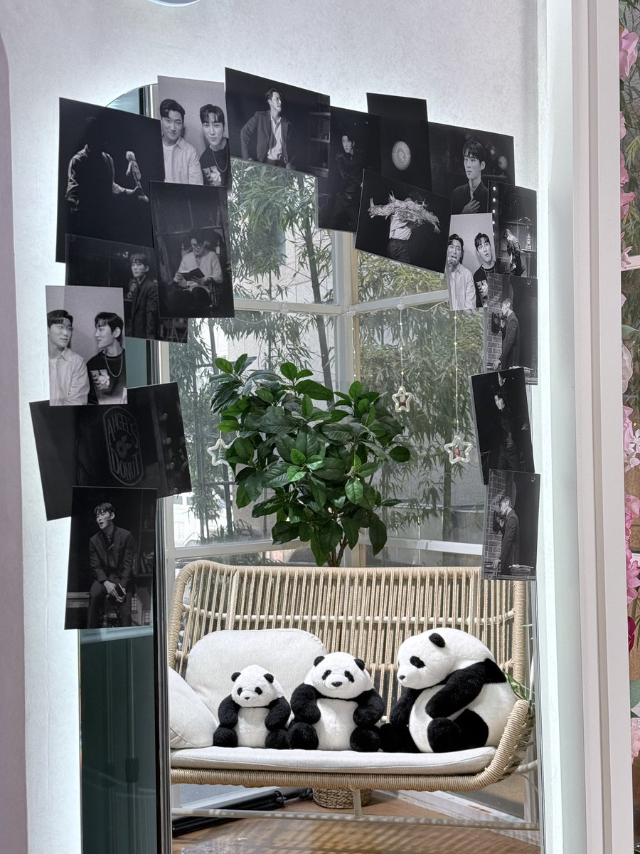 사교댄스 저녁반 tweet media