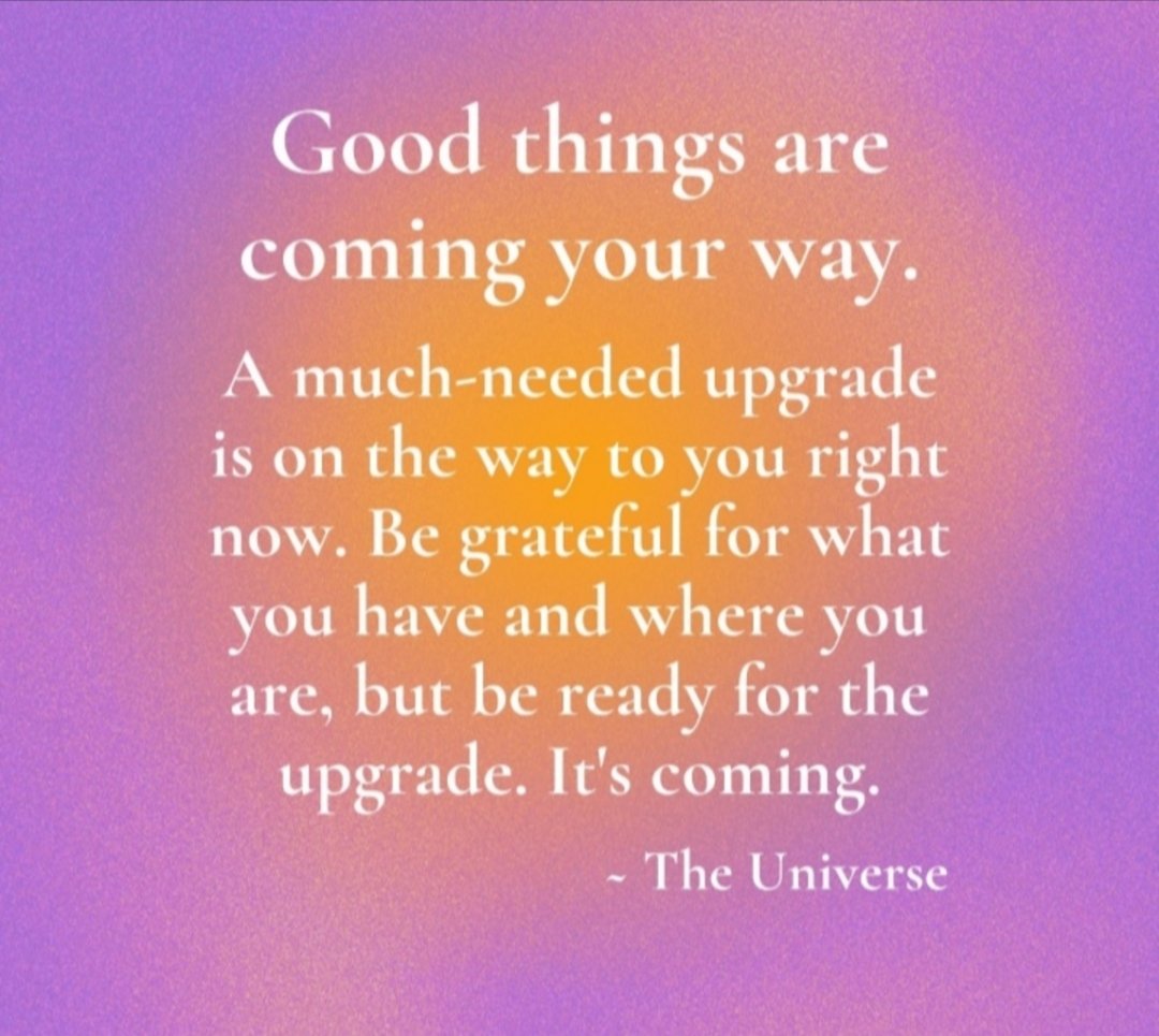 DarcyDonavan.x tweet media