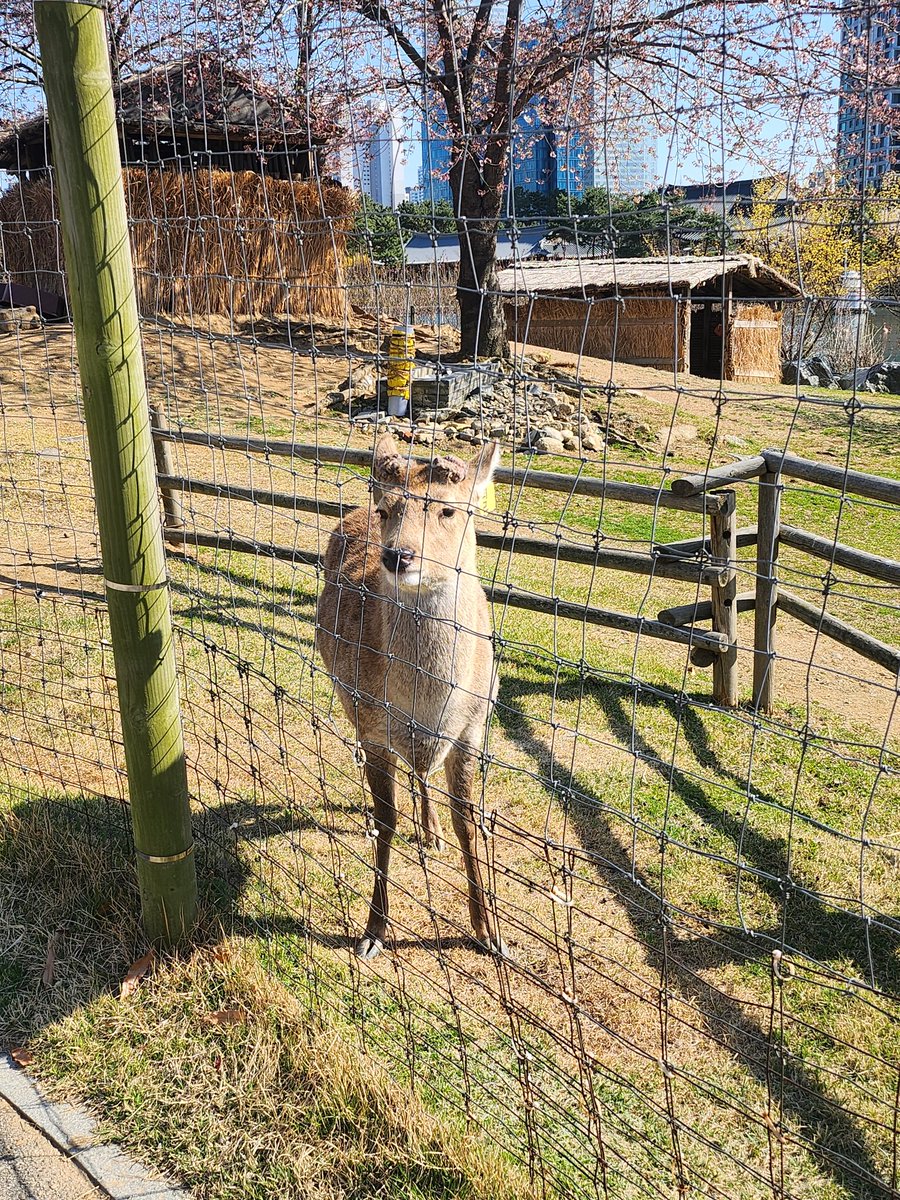 EllimLoL's tweet photo. かっこいい https://t.co/3I0fOyLO3Y