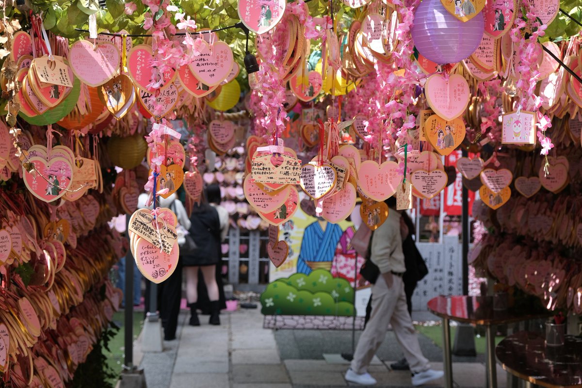 wao_camera's tweet image. お初天神

FUJIFILM X-T3
XF18-55mm F2.8-4 R LM OIS 
#fujifilm_xseries
#fujifilm #Snapshot