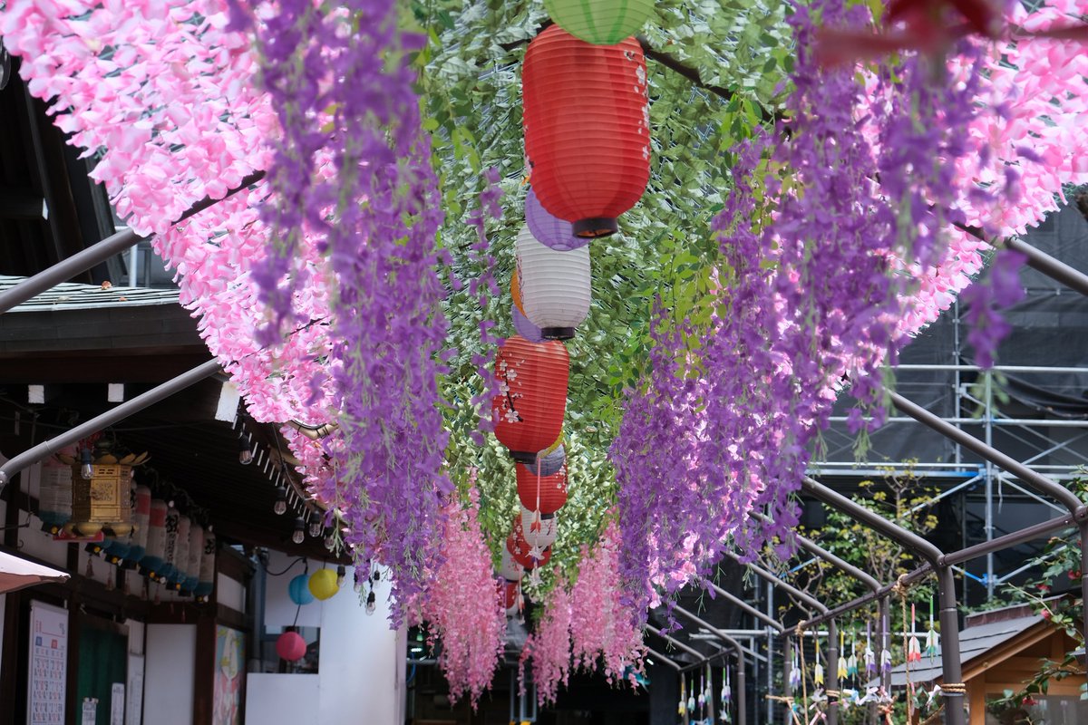 wao_camera's tweet image. お初天神

FUJIFILM X-T3
XF18-55mm F2.8-4 R LM OIS 
#fujifilm_xseries
#fujifilm #Snapshot