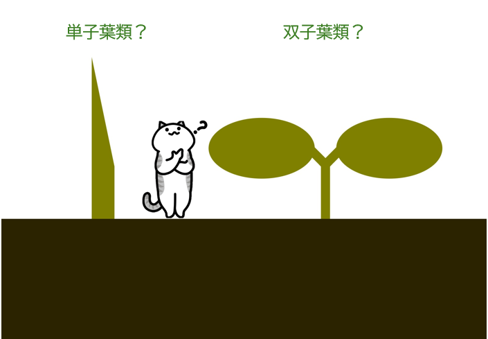 CalbeePotato(カルビーポテト)公式 tweet media