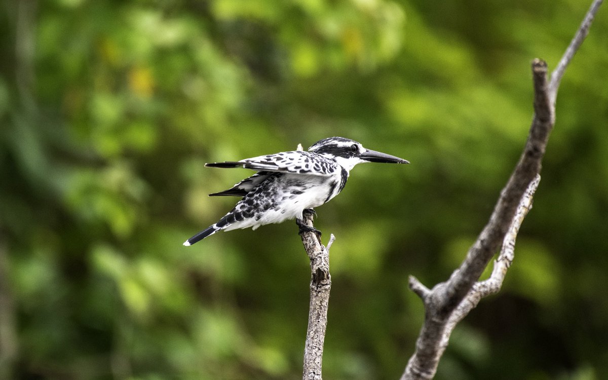 Musinguzi Elly 🎬 tweet media