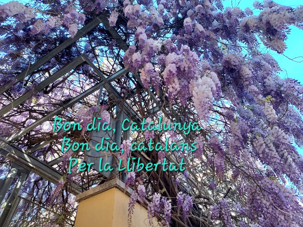 Pepsina_Mataro's tweet image. Bon dia als que estimeu aquesta Terra

Els éssers humans no neixen el dia que les seves mares els il·luminen, sinó el dia que la vida els obliga a parir-se a si mateixos prenent decisions que els faran ser

Bon dia #Catalunya
Bon dia #catalans
#INDEPENDÈNCIA
⭐❤️⭐❤️⭐❤️⭐❤️⭐