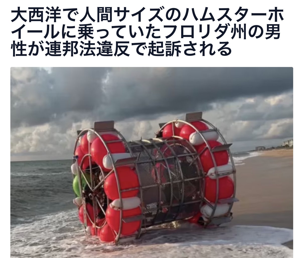 悔しいけど面白い