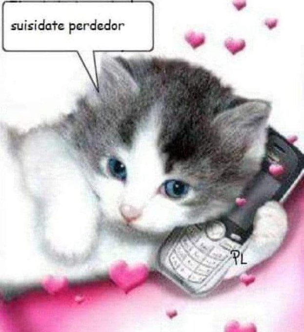 flansito tweet media