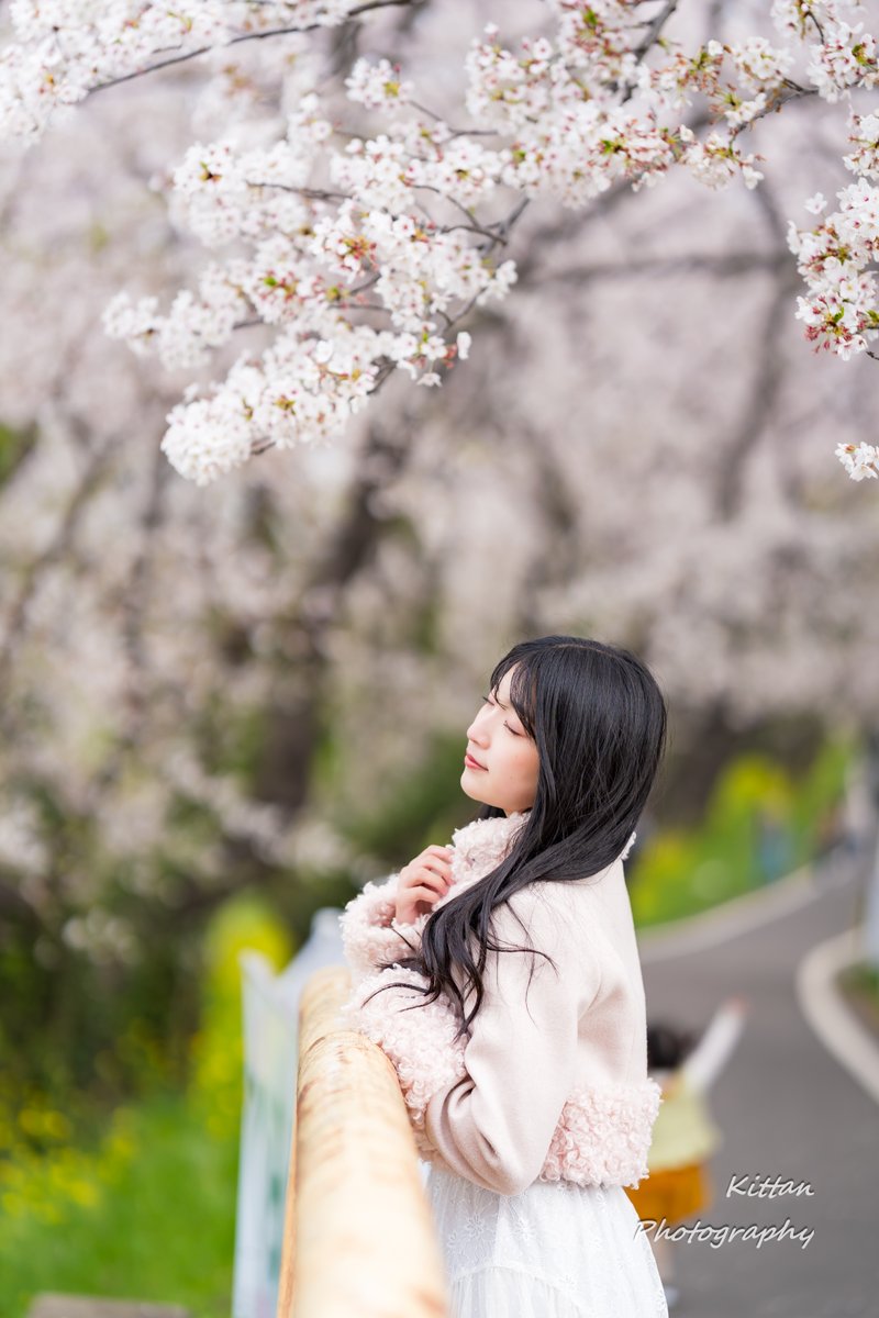 きったん tweet media