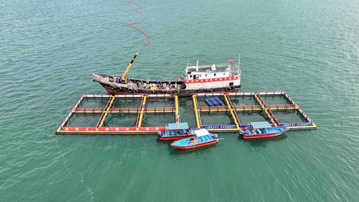 中華人民共和国駐福岡総領事館 tweet media