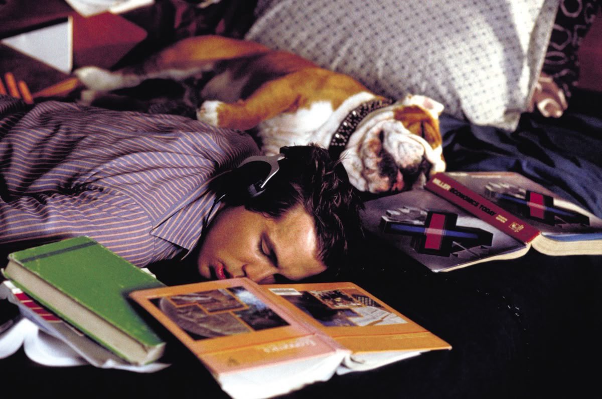 Ryan. (parody) tweet media