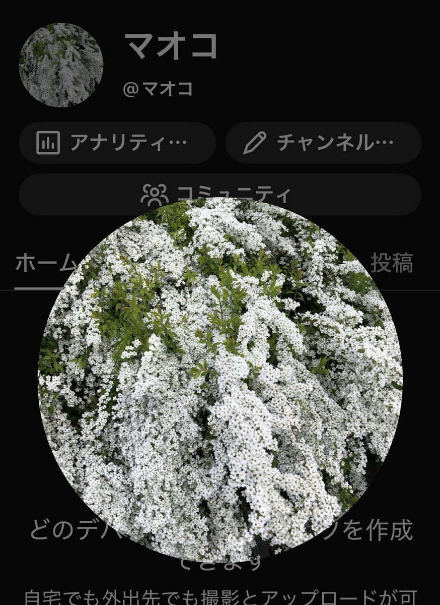 マオコ tweet media