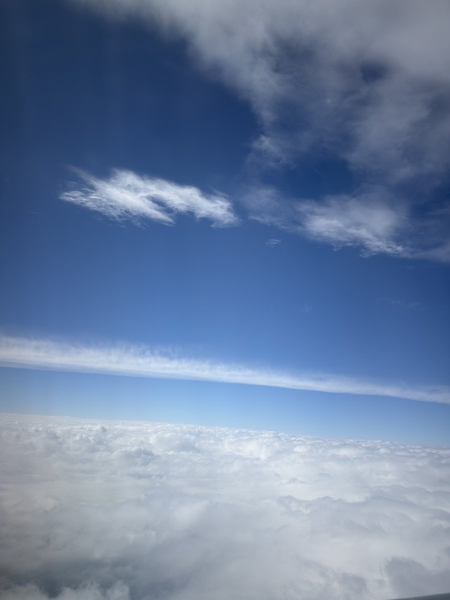 そば🌳独身お家作り🏡 tweet media