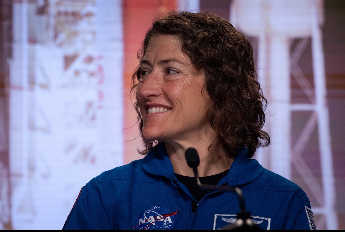 project hail dado ⚢ tweet media