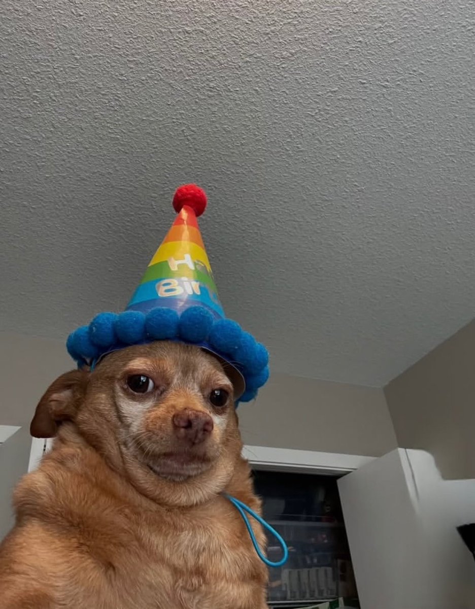 Bugembe Stuart tweet media